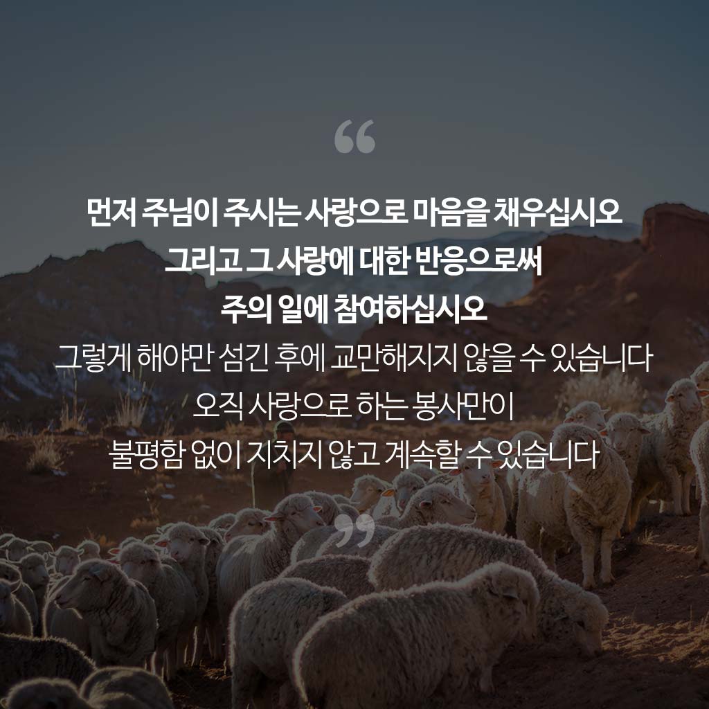 사랑으로 하는 봉사 묵상